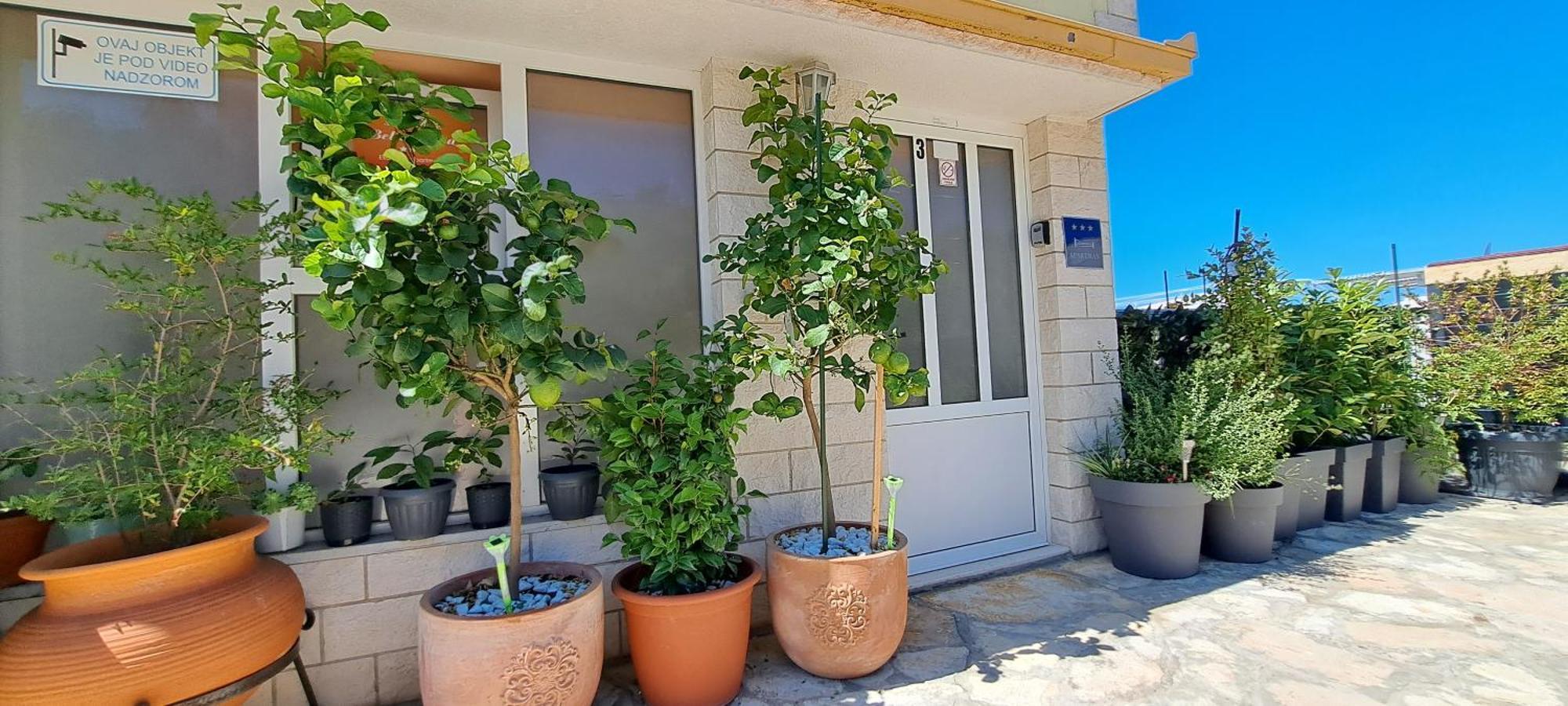 Apartments Villa Bella Vista Hvar 赫瓦尔 外观 照片