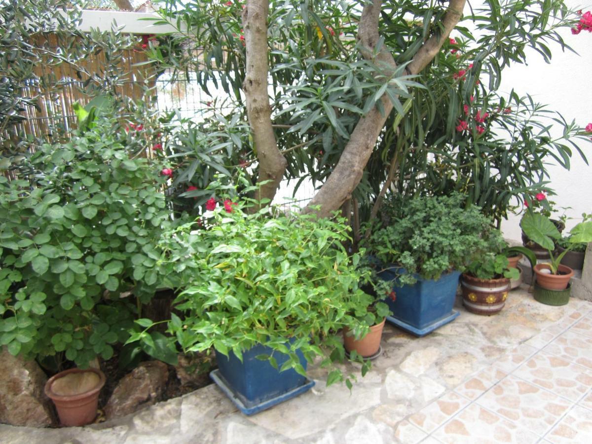 Apartments Villa Bella Vista Hvar 赫瓦尔 外观 照片